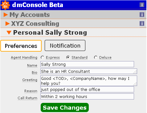 A screengrab of dmConsole preferences